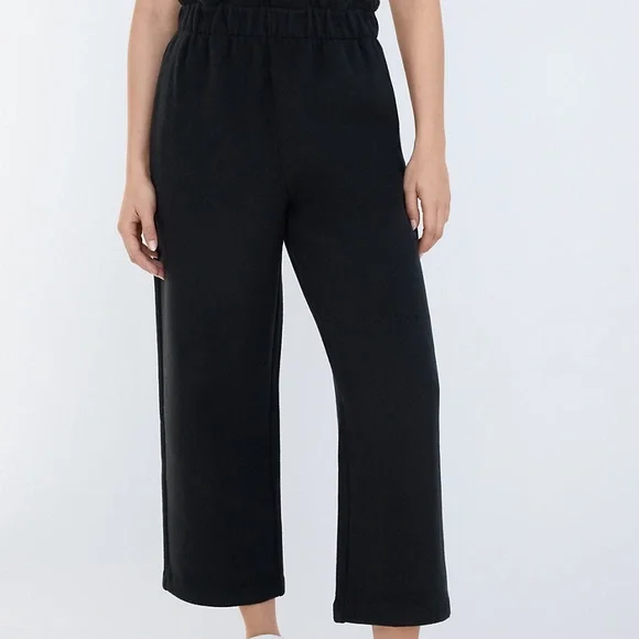 Aritzia Babaton Powell Pants Black - Picture 2 of 9